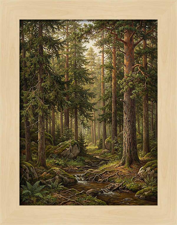 Whispers Of The Evergreen Woods