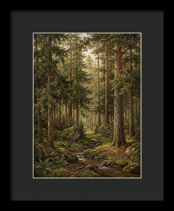 Whispers Of The Evergreen Woods