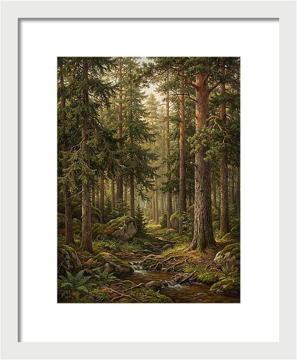 Whispers Of The Evergreen Woods
