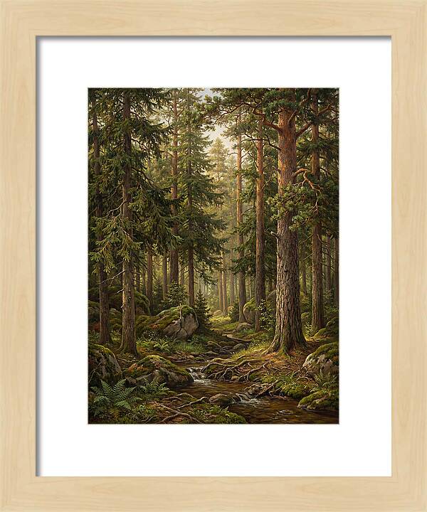 Whispers Of The Evergreen Woods