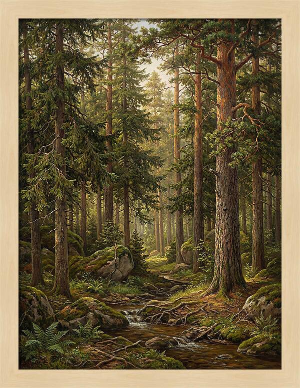 Whispers Of The Evergreen Woods