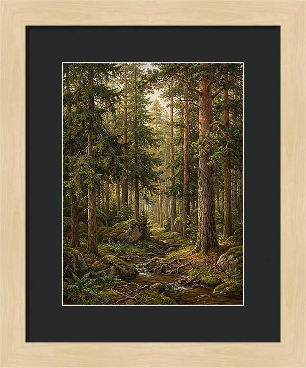 Whispers Of The Evergreen Woods