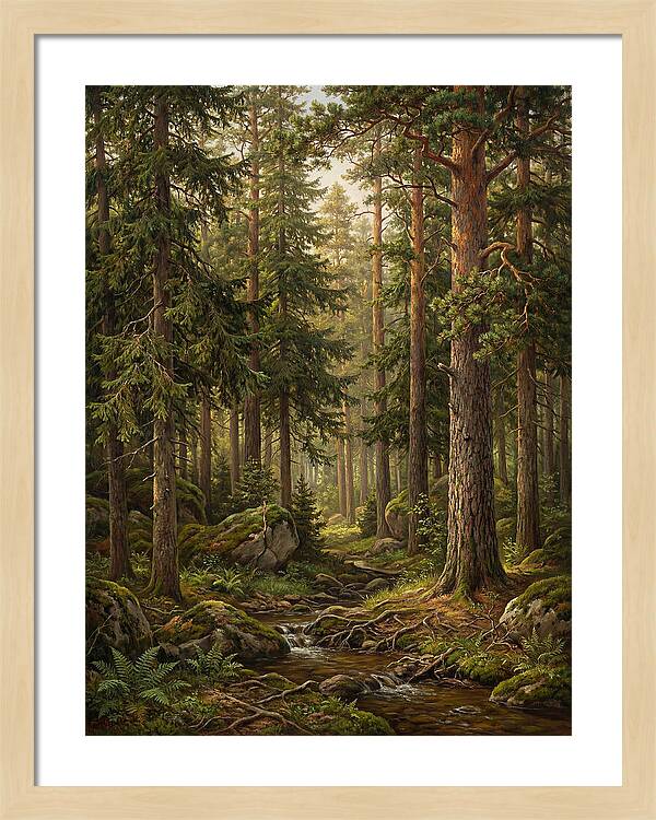 Whispers Of The Evergreen Woods