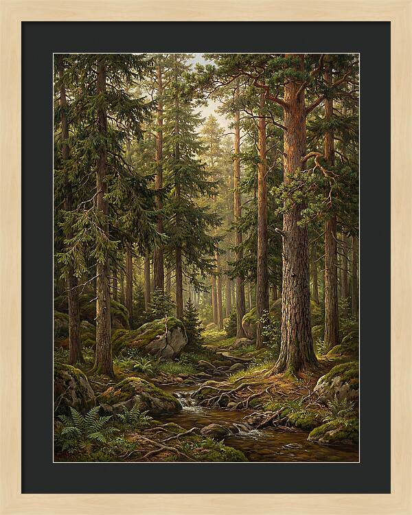 Whispers Of The Evergreen Woods