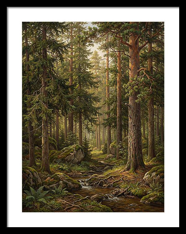 Whispers Of The Evergreen Woods