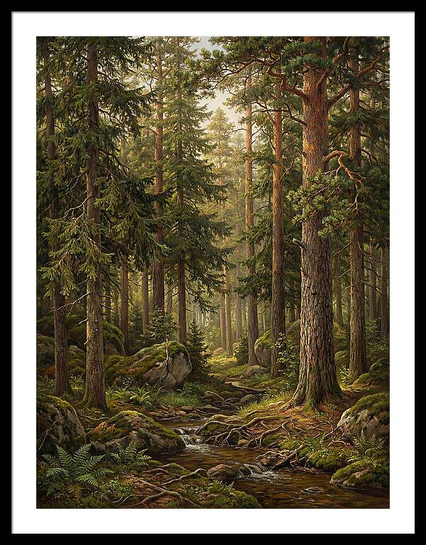 Whispers Of The Evergreen Woods