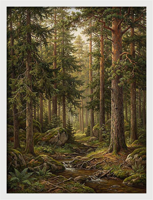 Whispers Of The Evergreen Woods