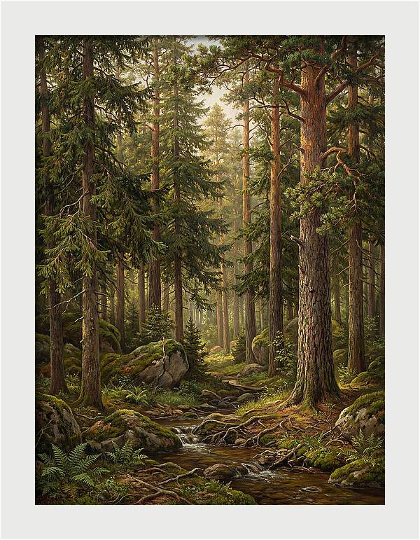 Whispers Of The Evergreen Woods