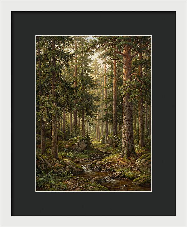 Whispers Of The Evergreen Woods