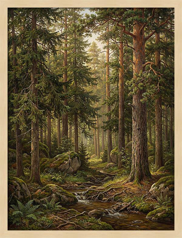 Whispers Of The Evergreen Woods