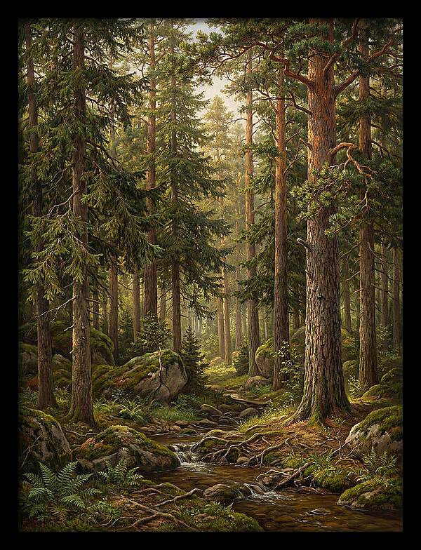 Whispers Of The Evergreen Woods