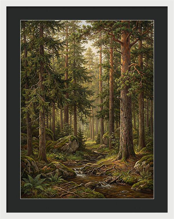 Whispers Of The Evergreen Woods