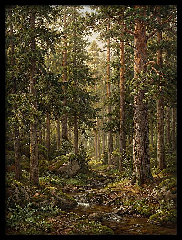Whispers Of The Evergreen Woods