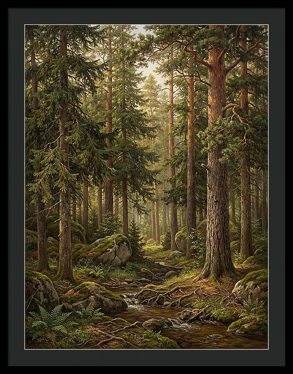 Whispers Of The Evergreen Woods