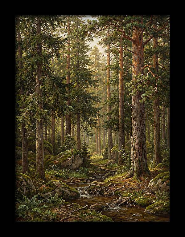 Whispers Of The Evergreen Woods