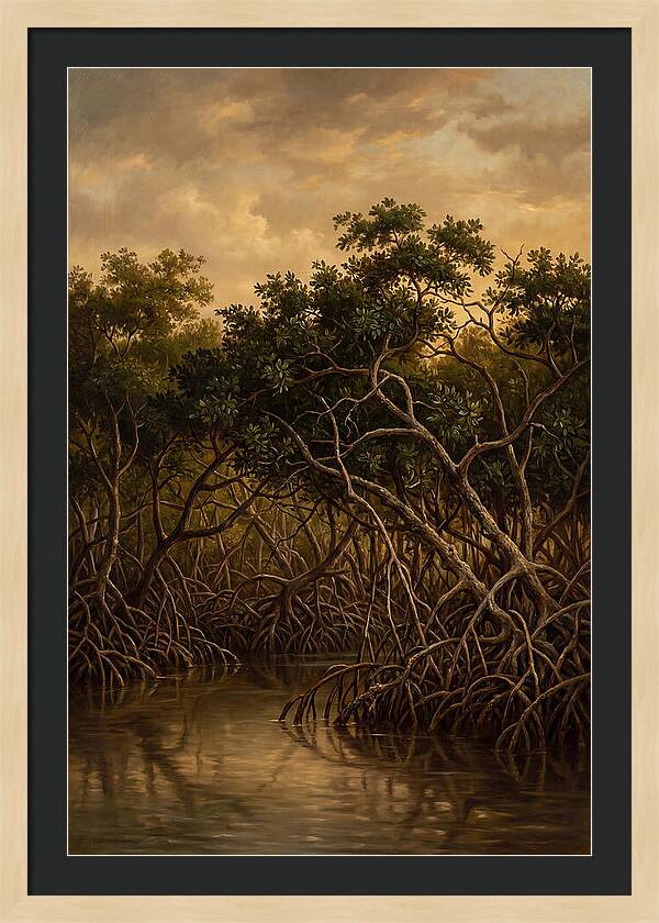 Whispers Of The Mangroves