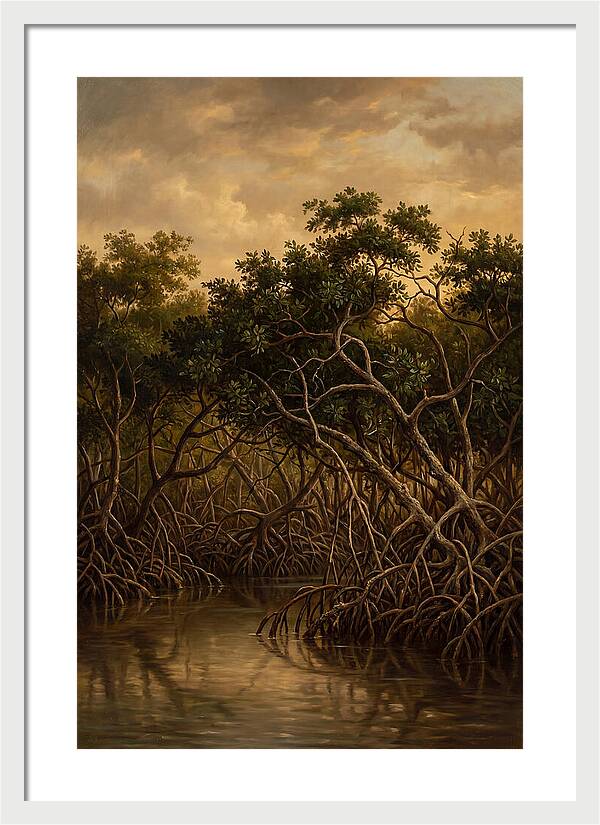 Whispers Of The Mangroves