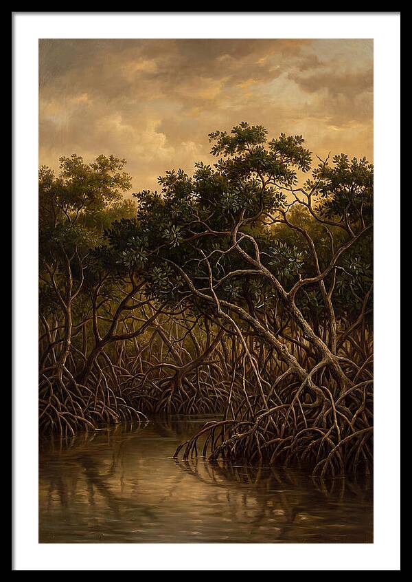 Whispers Of The Mangroves