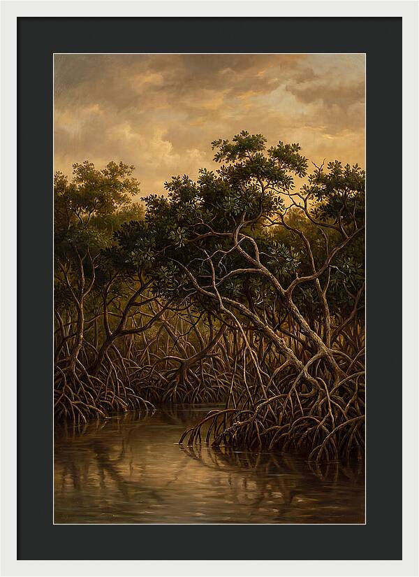 Whispers Of The Mangroves