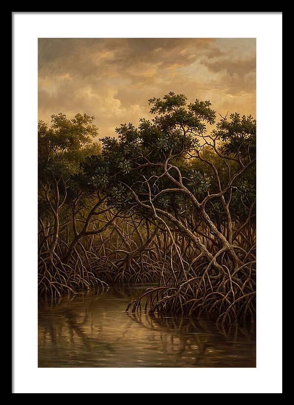 Whispers Of The Mangroves