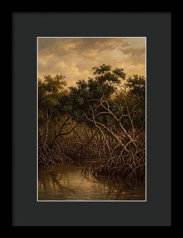 Whispers Of The Mangroves