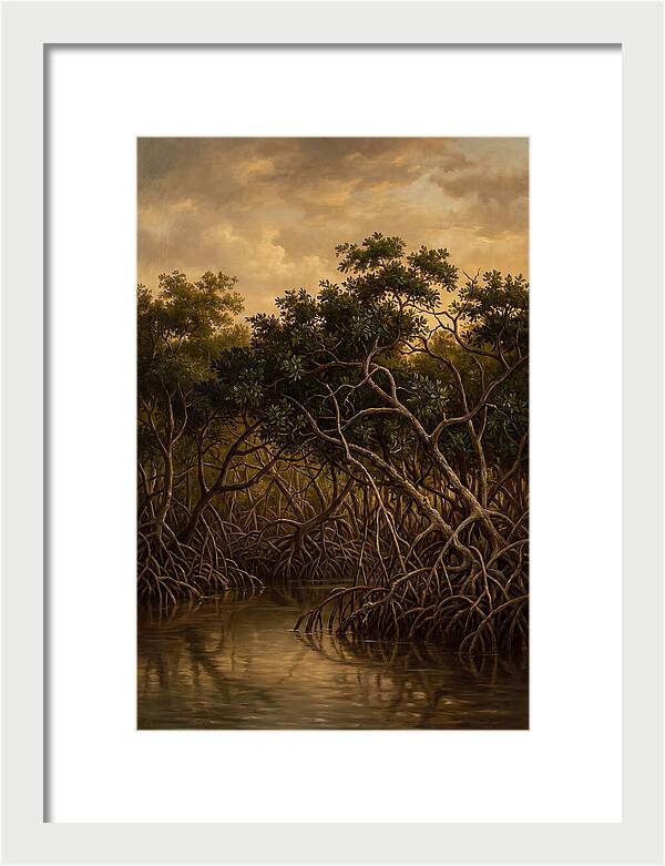 Whispers Of The Mangroves