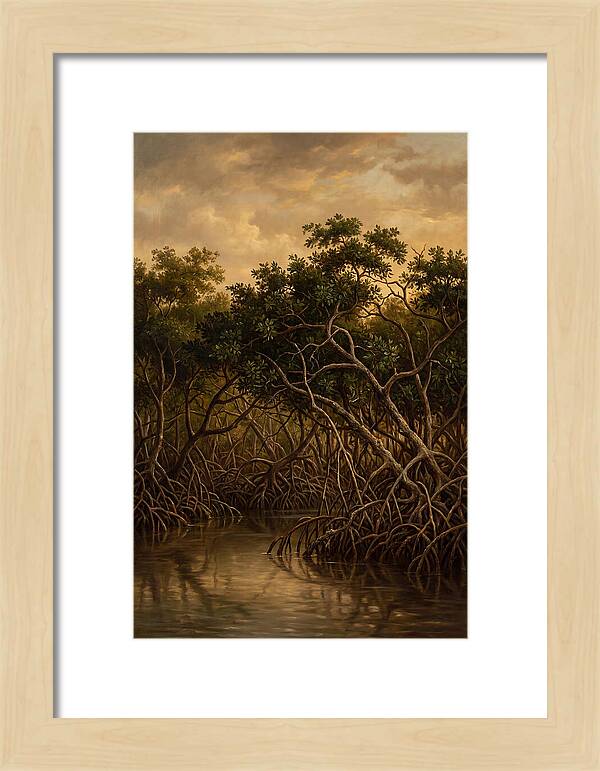 Whispers Of The Mangroves
