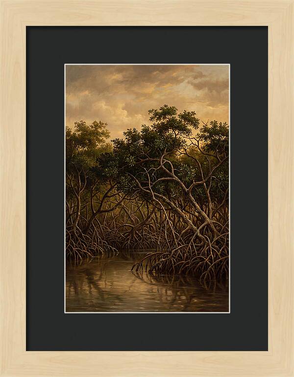 Whispers Of The Mangroves