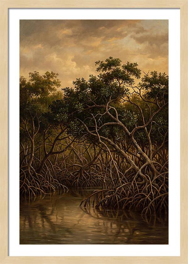 Whispers Of The Mangroves