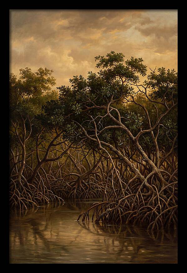Whispers Of The Mangroves