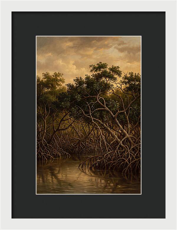 Whispers Of The Mangroves