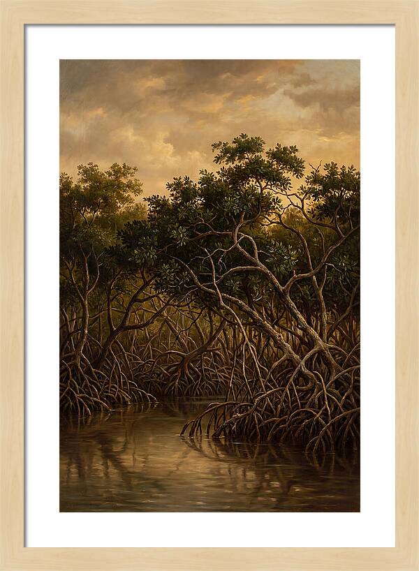 Whispers Of The Mangroves