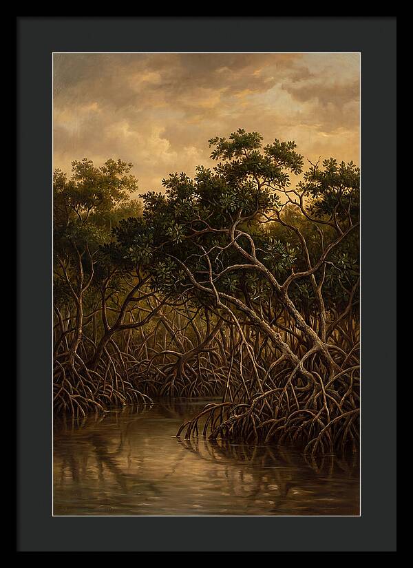 Whispers Of The Mangroves