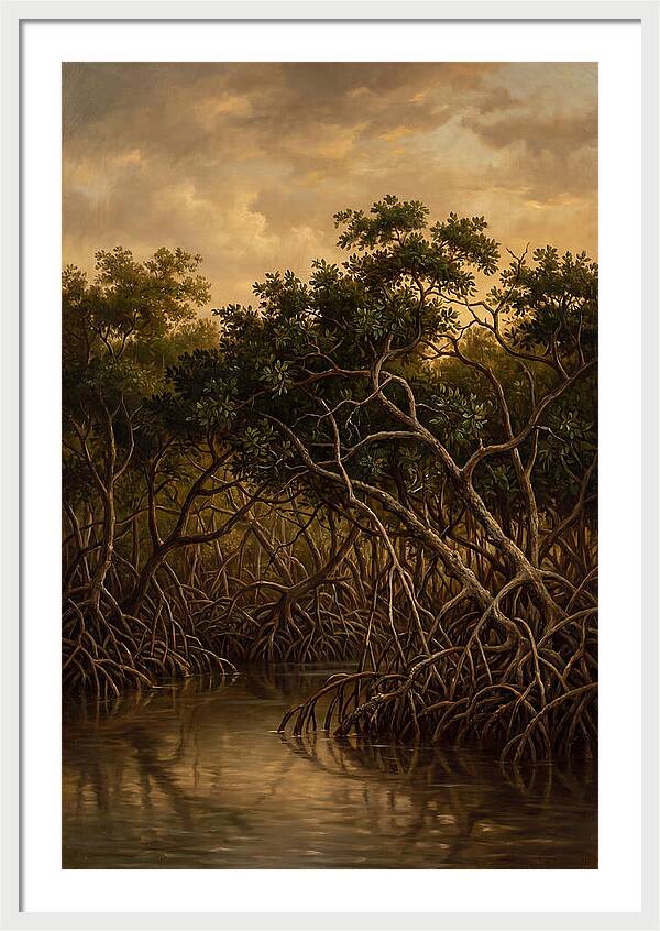Whispers Of The Mangroves