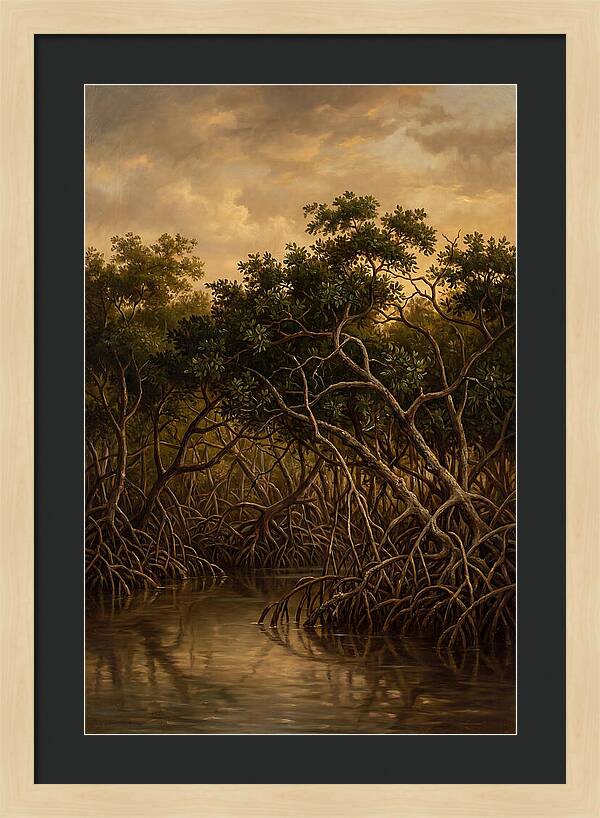 Whispers Of The Mangroves