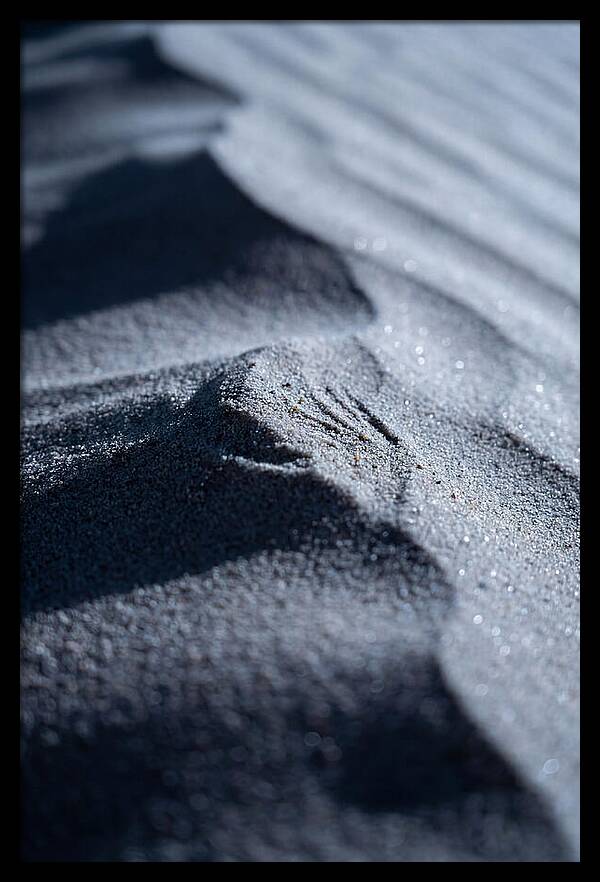 Whispers Of The Night Dunes