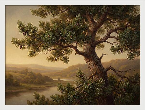 Whispers Of The Pine