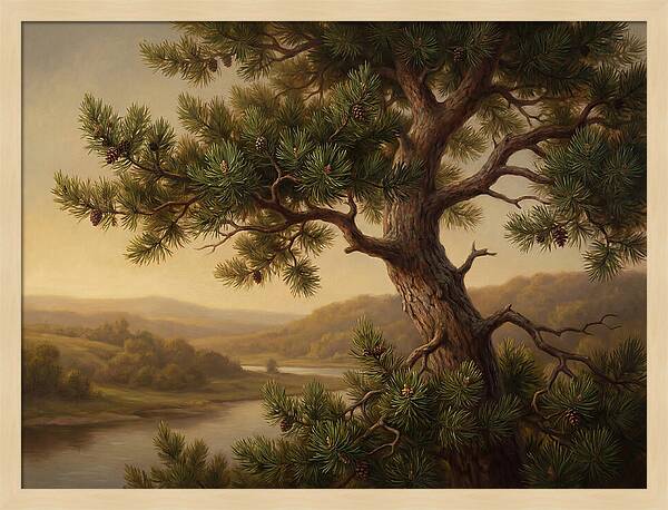 Whispers Of The Pine