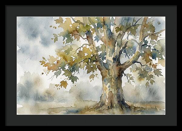 Whispers Of The Sycamore Tree