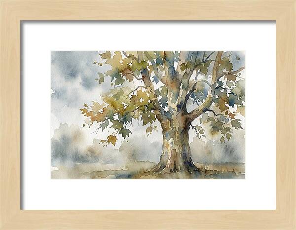 Whispers Of The Sycamore Tree