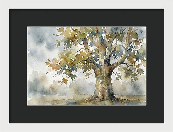 Whispers Of The Sycamore Tree