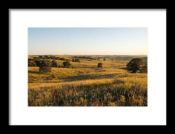 Whispers Of The Tallgrass Prairie