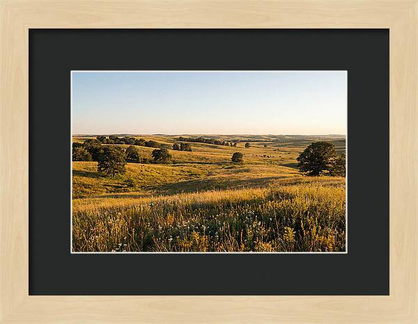 Whispers Of The Tallgrass Prairie