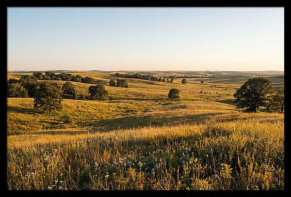 Whispers Of The Tallgrass Prairie
