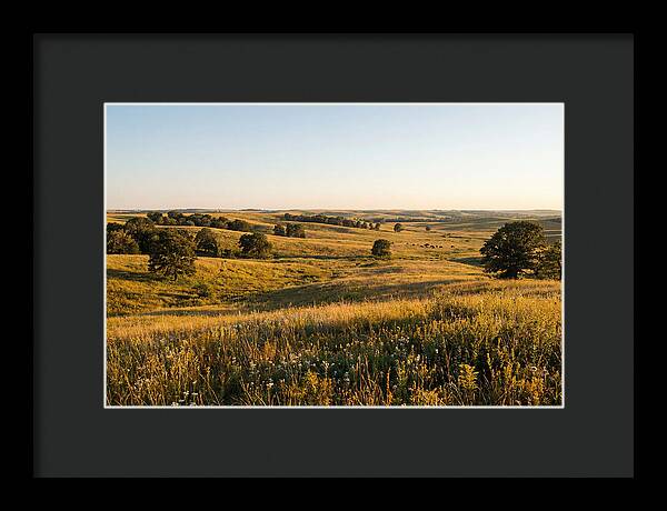 Whispers Of The Tallgrass Prairie