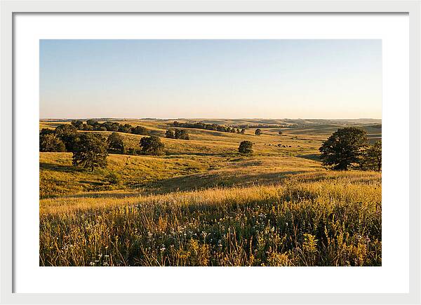 Whispers Of The Tallgrass Prairie