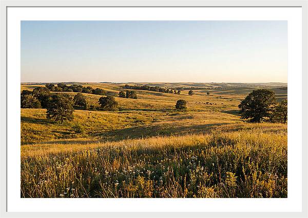 Whispers Of The Tallgrass Prairie