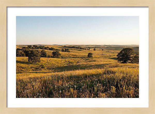Whispers Of The Tallgrass Prairie