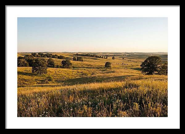 Whispers Of The Tallgrass Prairie