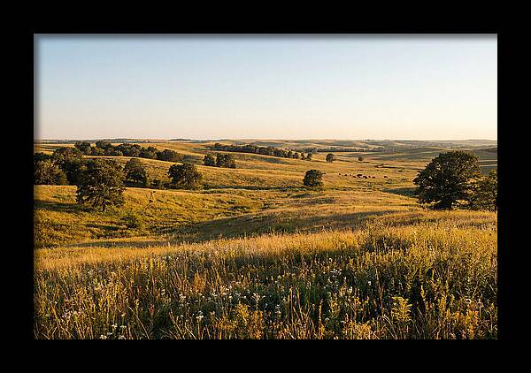 Whispers Of The Tallgrass Prairie